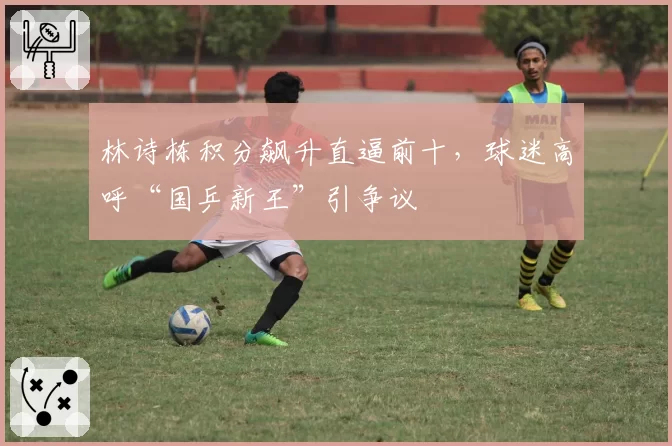 林诗栋积分飙升直逼前十,球迷高呼“国乒新王”引争议