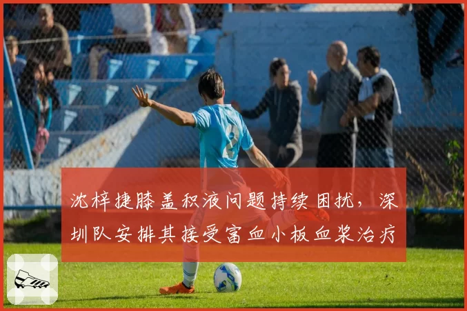 沈梓捷膝盖积液问题持续困扰,深圳队安排其接受富血小板血浆治疗