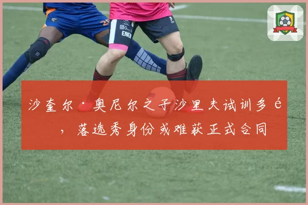 沙奎尔·奥尼尔之子沙里夫试训多队,落选秀身份或难获正式合同